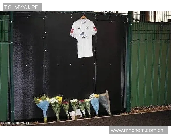 前阿森纳青训球员维加不幸身亡围墙已被拆除引发广泛关注