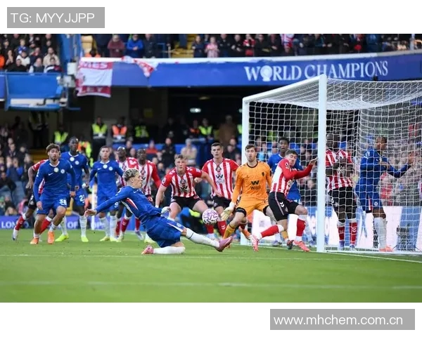 黑猫桑德兰球迷在老特拉福德成功捕鼠引发热议 黑猫桑德兰球迷在老特拉福德成功捕鼠引发热议