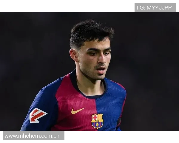 佩德里恢复进展良好预计将很快重返赛场助力球队