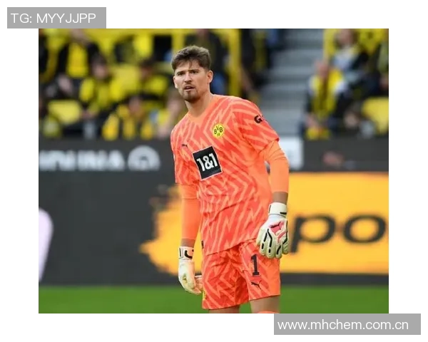 兹沃勒有意引进杜伊斯堡门将布劳内多家德乙英冠球队也在关注 兹沃勒有意引进杜伊斯堡门将布劳内多家德乙英冠球队也在关注