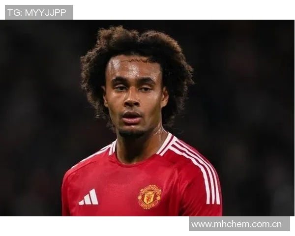 古利特认为齐尔克泽加盟米兰更合适曼联选择是错误决策 古利特认为齐尔克泽加盟米兰更合适曼联选择是错误决策