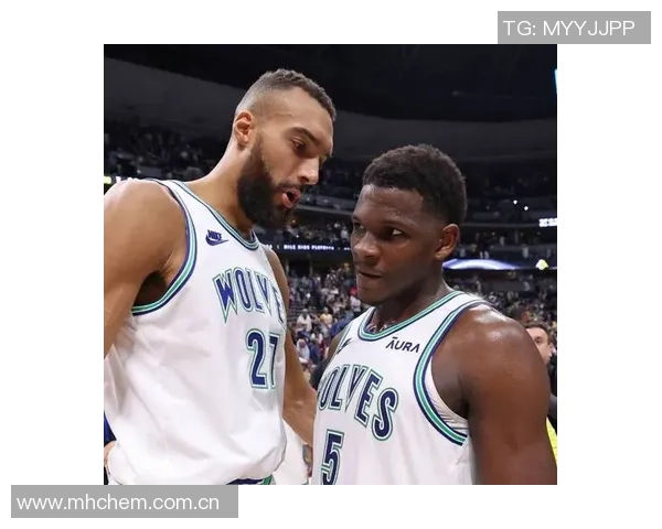 戈贝尔盛赞道苏姆加盟球队展现活力与对抗精神引发期待